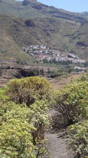 2022-04-GranCan-Agaete-Trekking_view-PM-NN-076.JPG